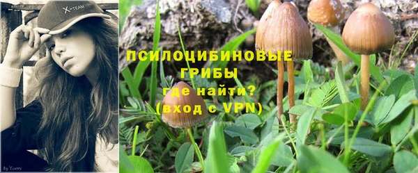 mdpv Верея